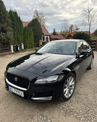 jaguar Jaguar XF cena 89790 przebieg: 150200, rok produkcji 2017 z Węgorzewo